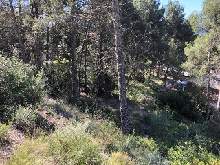 16774-0001 5