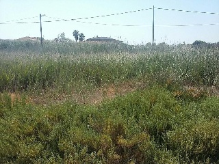 Suelo Urbanizable situado en Benicasim/Benicàssim 3