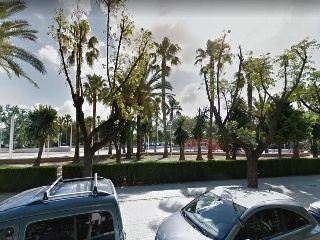 suelo Rustico situado en Sedaví - Valencia 28