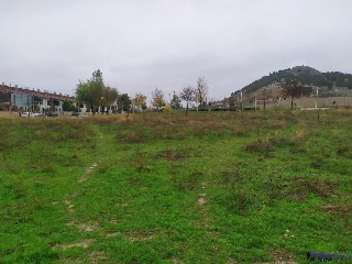 02231-0001 16