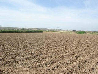 17829-0001 3