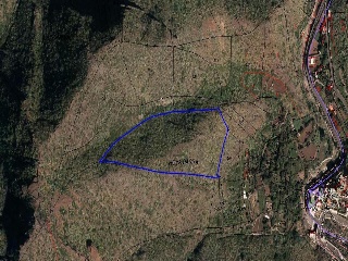 19485-0001 2
