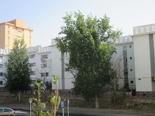 Piso en venta en Jerez De La Frontera de 78  m²