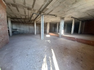14559-0001 6