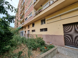 16927-0001 3
