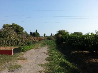 Suelo urbanizable situado en Castellón de la Plana - Castellón 6