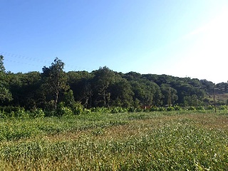 Chalet en Santa Maria de Palautordera 17