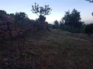 17397-0001 5