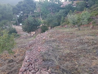 17397-0001 8