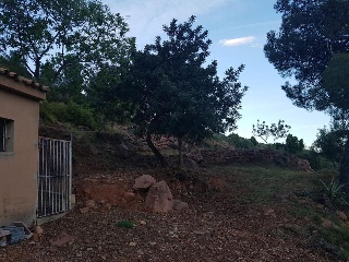 17397-0001 11