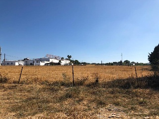 Suelo en La Teja, Jerez de la Frontera (Cádiz) 6