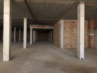 C/ Greanpeace - Mancha Real - 3