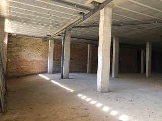 C/ Greanpeace - Mancha Real - 4