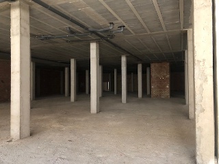 C/ Greanpeace - Mancha Real - 11