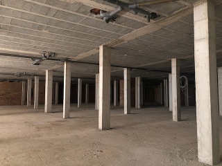 C/ Greanpeace - Mancha Real - 14