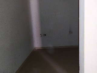 02951-0001 7