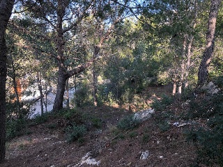 Suelo urbanizable delimitado en C/ de la cala Crancs 5