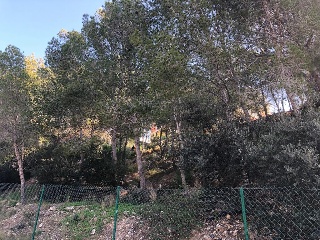 Suelo urbanizable delimitado en C/ de la cala Crancs 8
