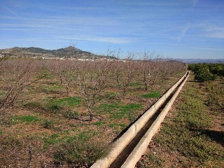 Suelo Rustico situado en Xátiva - Valencia 5