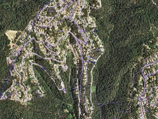 19956-0001 5