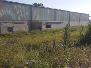 03826-0001 4