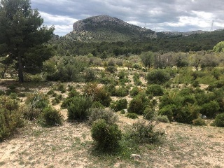 Suelos en Benidorm ,Alicante/Alacant 21