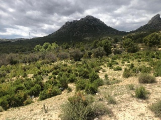Suelos en Benidorm ,Alicante/Alacant 22
