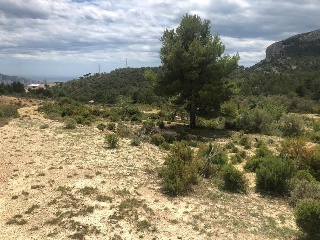 Suelos en Benidorm ,Alicante/Alacant 24