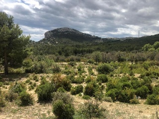 Suelos en Benidorm ,Alicante/Alacant 28