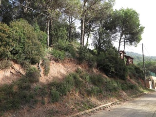 07205-0001 4