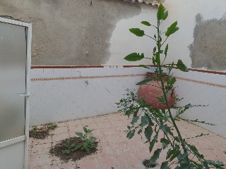 Unifamiliar adosado en Archena (Murcia) 13