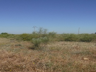 13633-0001 3