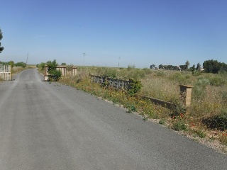 13633-0001 5
