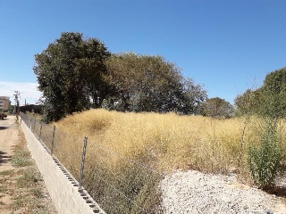 Suelo Urbanizable situado en Beniparrell 3