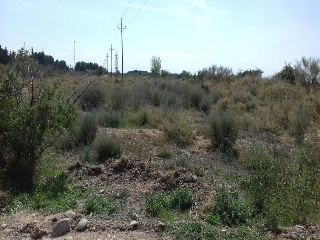 12975-0001 4