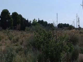 12975-0001 7