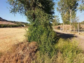 Suelo en Cistérniga - Valladolid - 7