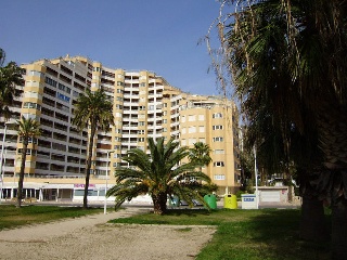 03538-0001 3