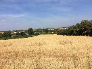 Suelos en Cardedeu , Barcelona 3