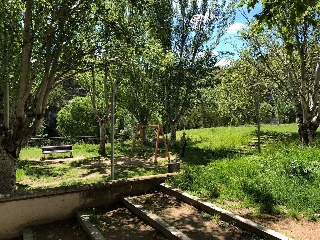 06890-0001 26