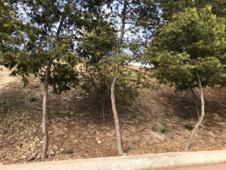 Otros en venta en Lorquí de 1500  m²