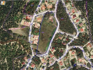 01655-0001 2