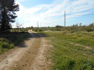 19264-0001 7