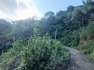 Suelos en Lloret de Mar ,Girona 4