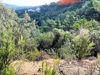 Suelos en Lloret de Mar ,Girona 15
