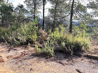 Suelos en Lloret de Mar ,Girona 16