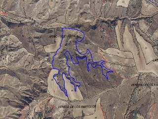 13679-0001 16