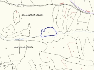 13679-0001 17