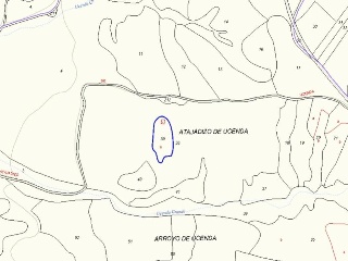 13679-0001 19