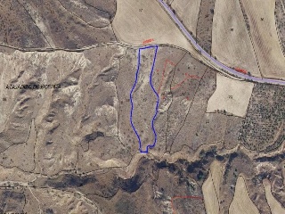 13679-0001 22